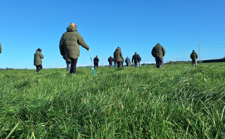 farm walk ludf