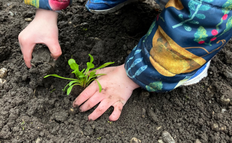 LUECC planting
