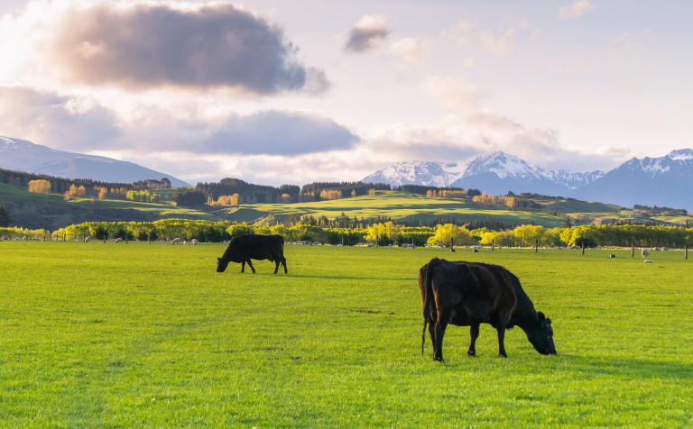 Agriculture video