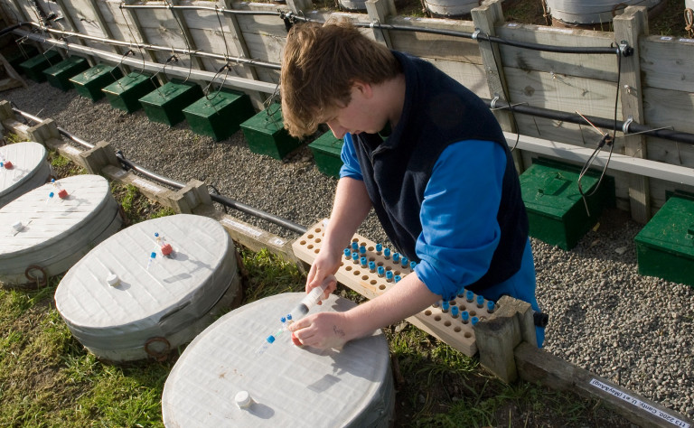 Centre for Coil and Environmental Research