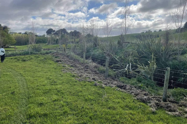 After . . . A fence on a South Otago farm after being cleaned by the Handy Landy group.