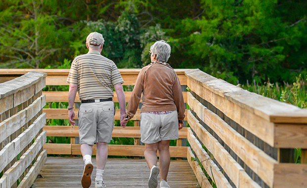 Research on age friendly cities by Lincoln University