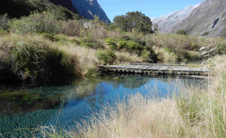 Lincoln University Assoc. Prof. Stephen Espiner discusses New Zealand's international visitor levy