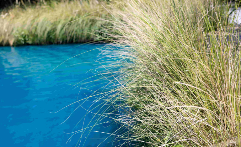 Dispelling the myth that freshwater regulation negatively impacts farm values