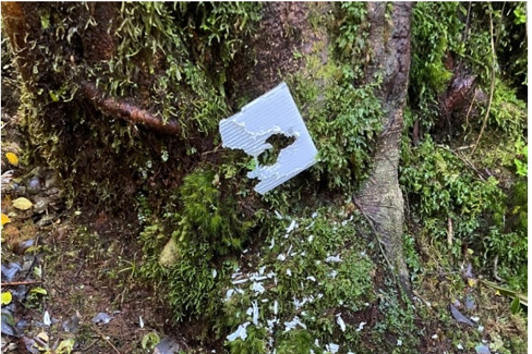 Plastic chew card - Mt Taranaki